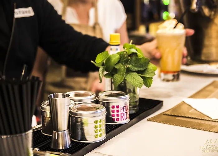 酒店 拉古纳大酒店